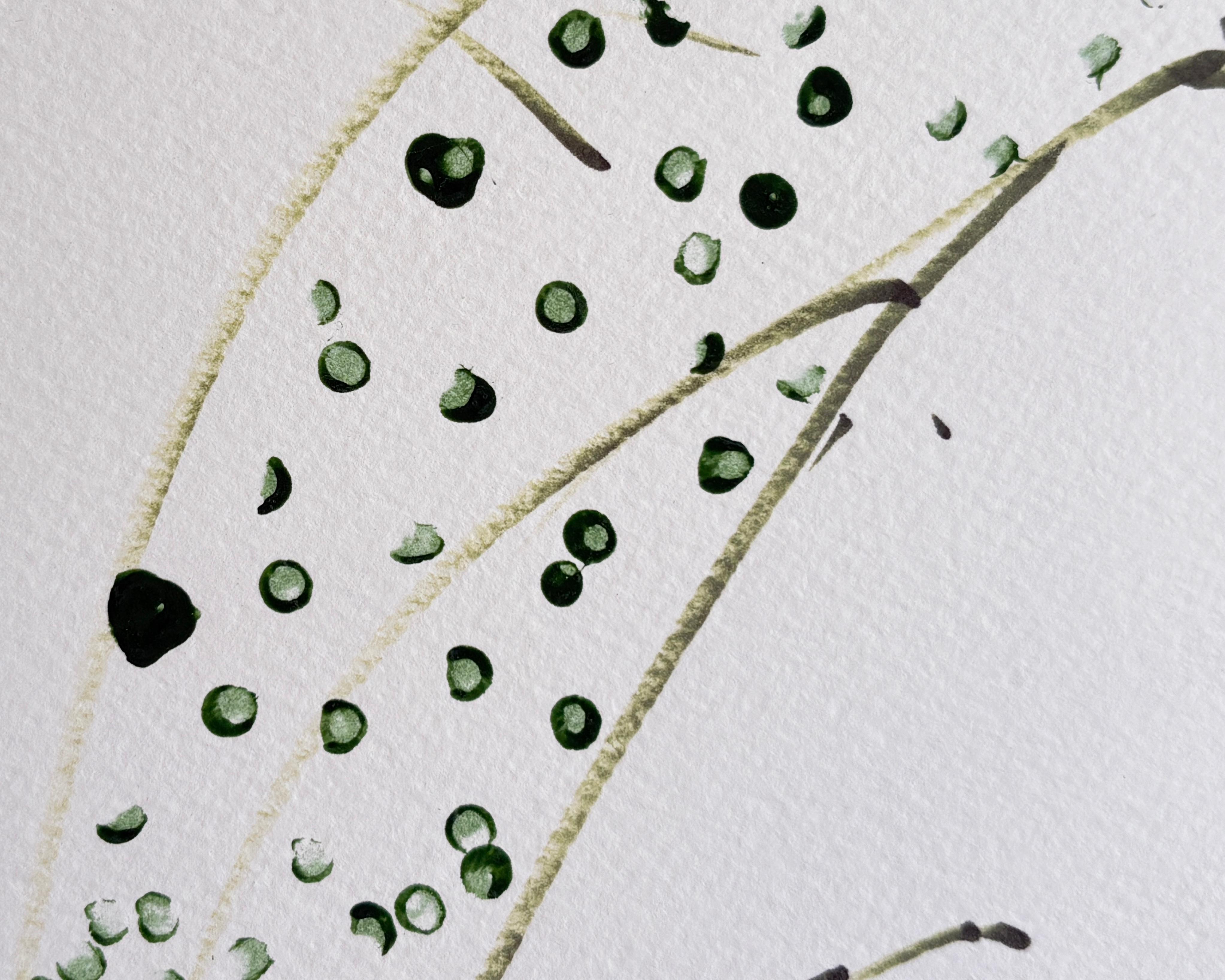 Retrato de mujer con diadema verde y pájaro amarillo  Dibujo original de Devie - Art Minimalista de Devie Elzafon