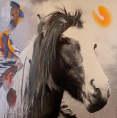"The Horse" Photography & Acrylic on canvas