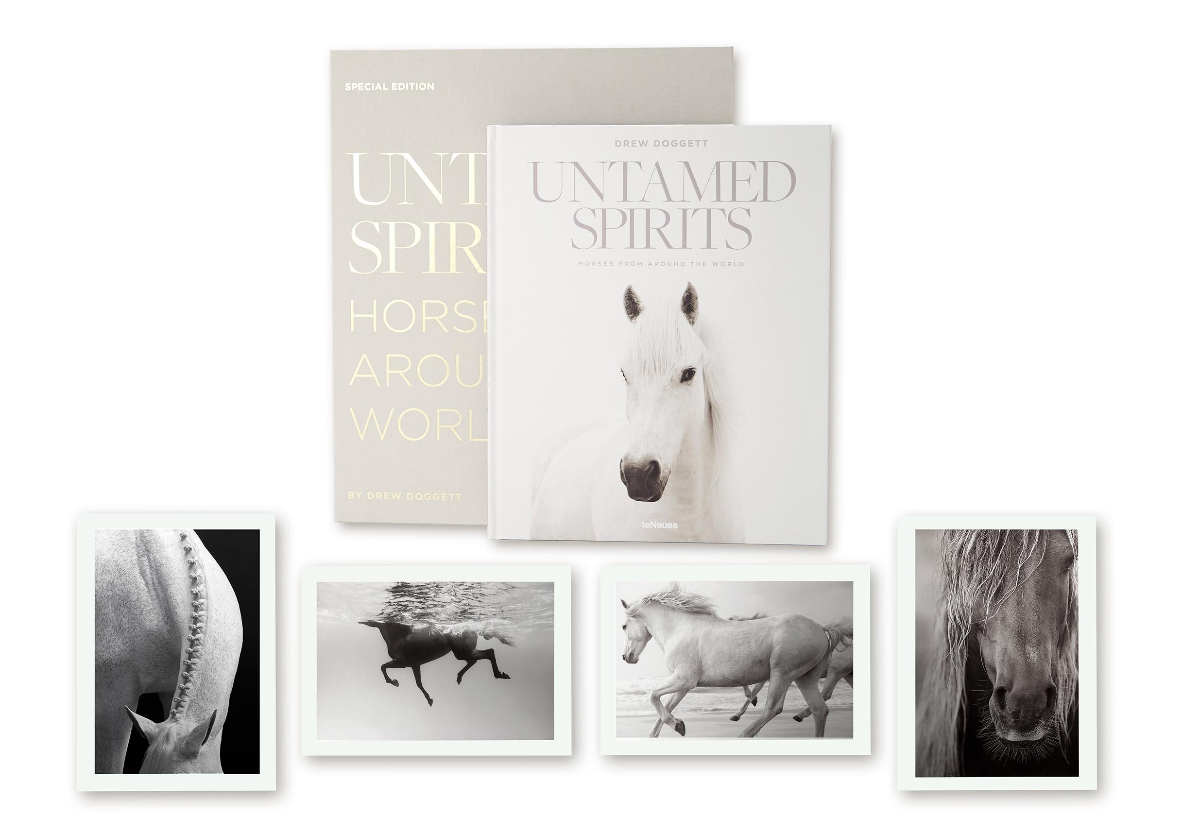 Über das Buch Artist's Edition: Ungezähmte Geister: Horses From Around the World ist ein umfassender Bildband, der Sie auf eine jahrzehntelange Reise um die Welt einlädt, um die unglaublichsten Pferde der Welt zu dokumentieren. Es enthält über 100