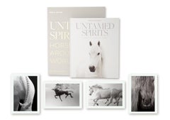 Ungezähmte Geister: Pferde aus aller Welt -- The Artist's Edition Buch