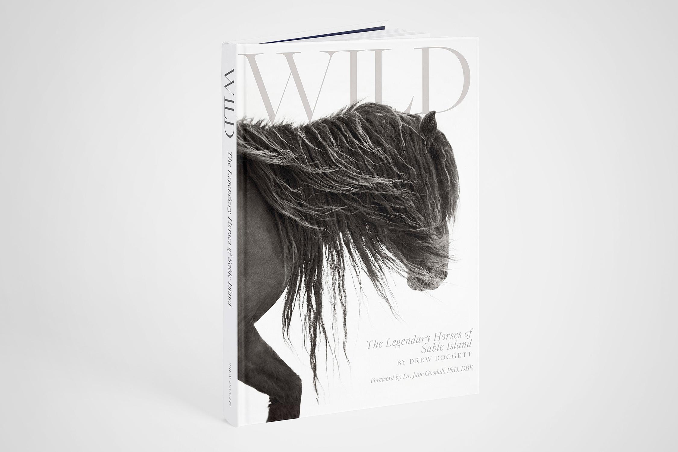 "Wild: The Legendary Horses of Sable Island" Large Format Coffee Table Book - Art by Drew Doggett
