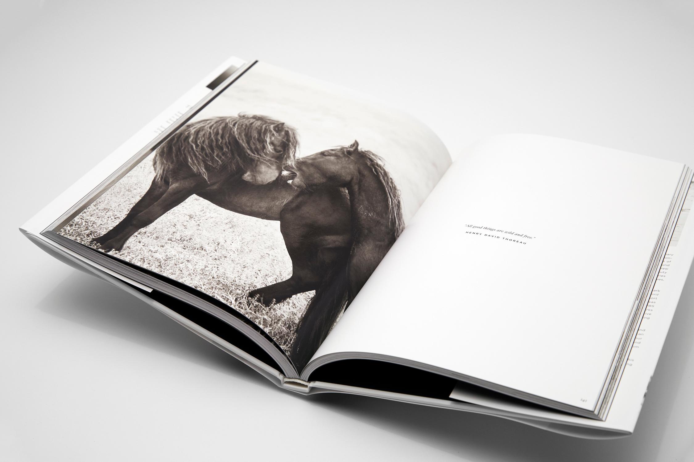 ABOUT THE BOOK
Sable Island is home to one of the last herds of completely wild horses and nothing else. This small strip of earth, often nestled in a blanket of fog 100 miles from land, has long captivated artists. Since 2012, Drew has created one