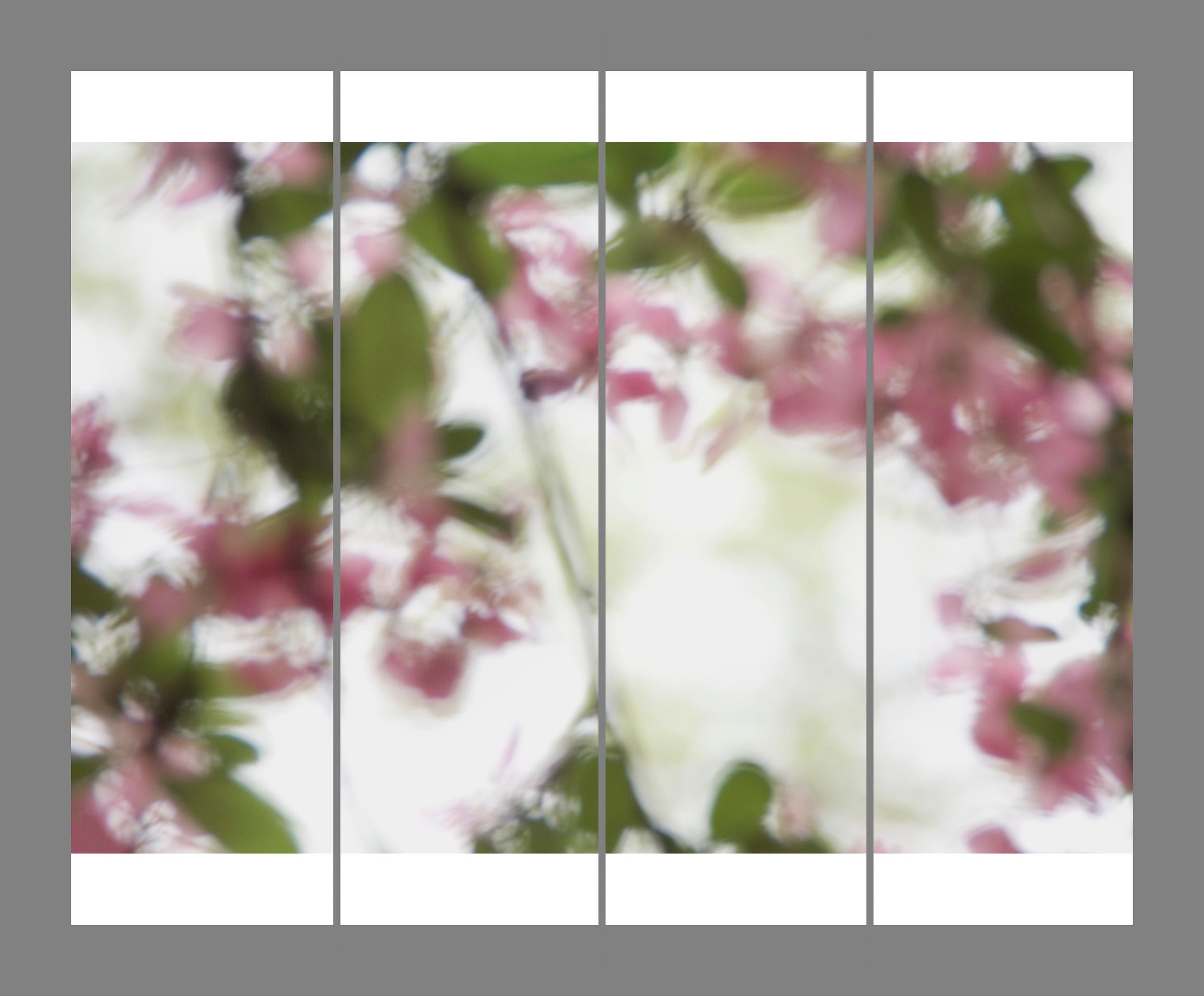 Unframed Fotografía de paisajes