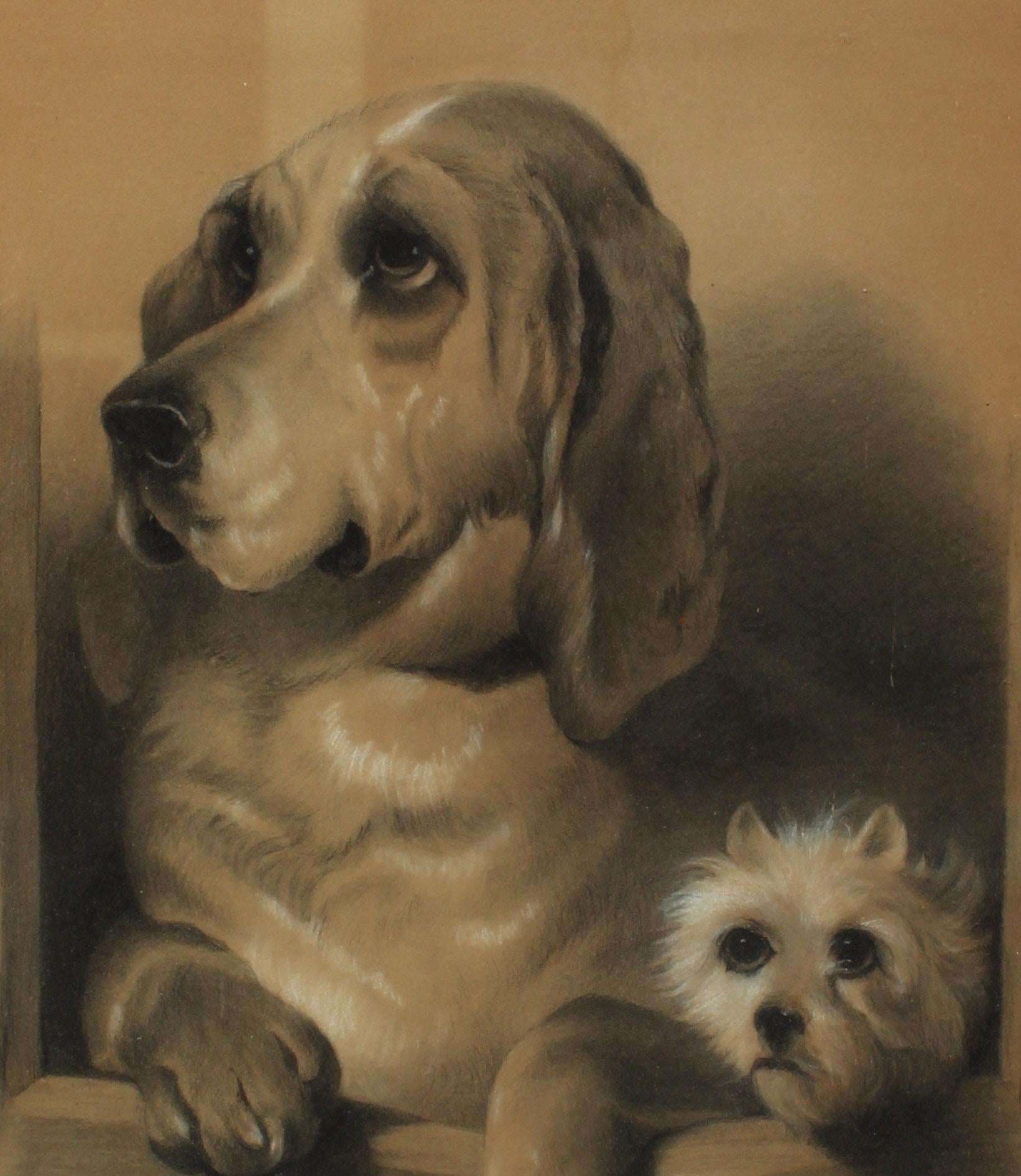 charcoal drawings of dogs