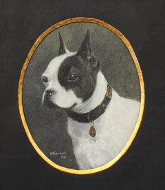 Dog Portrait Boston Terrier Framed Antique Canadian Oil Painting Oval Frame 1910
