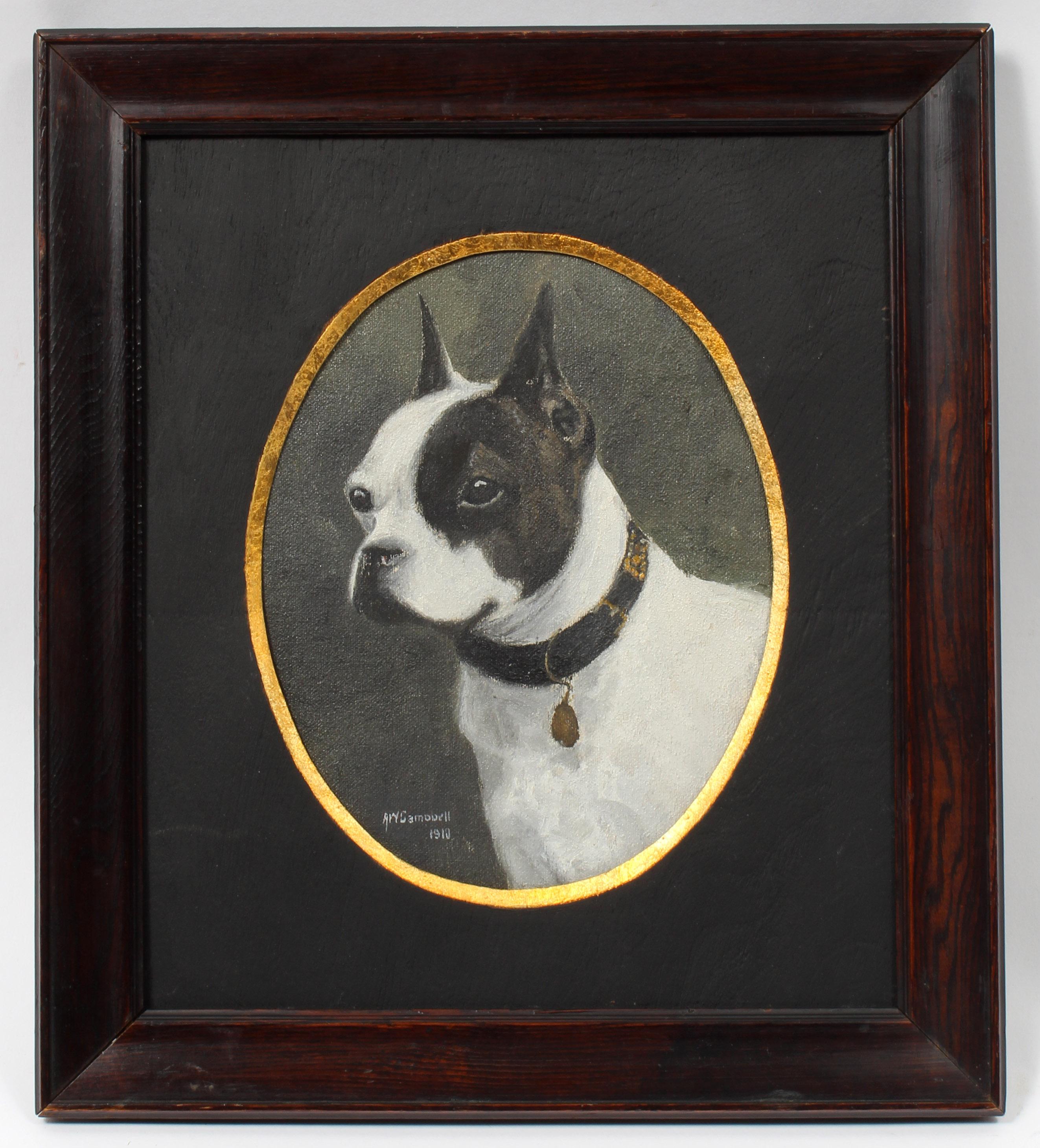 Alfred William Campbell Animal Painting - Dog Portrait Boston Terrier Framed Antique Canadian Oil Painting Oval Frame 1910