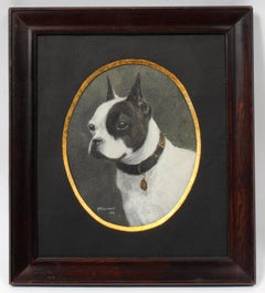 Dog Portrait Boston Terrier Framed Antique Canadian Oil Painting Oval Frame 1910