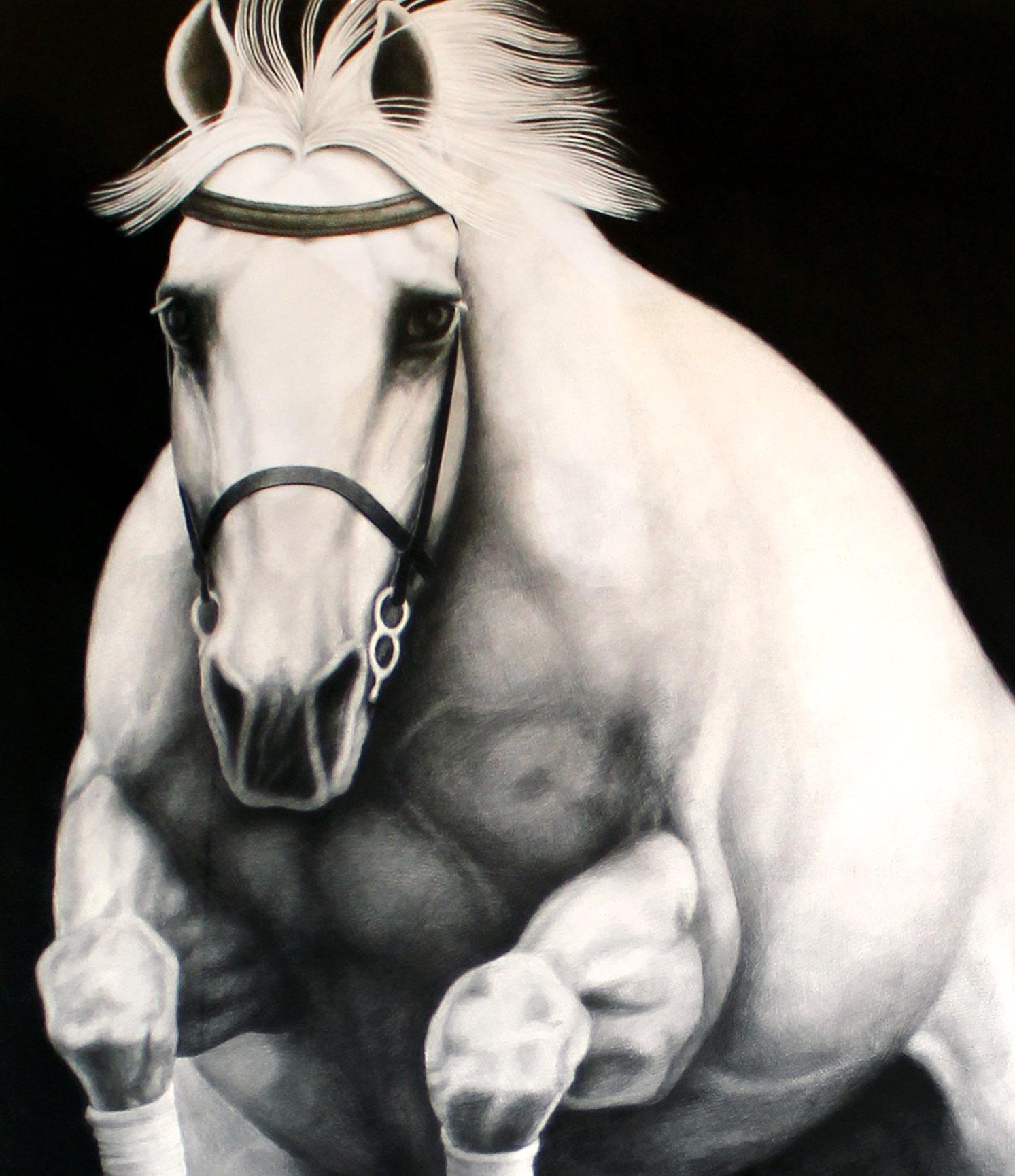 Hyperrealist Contemporary Horse Graphite Drawing Joseph Piccillo Framed B&W 1