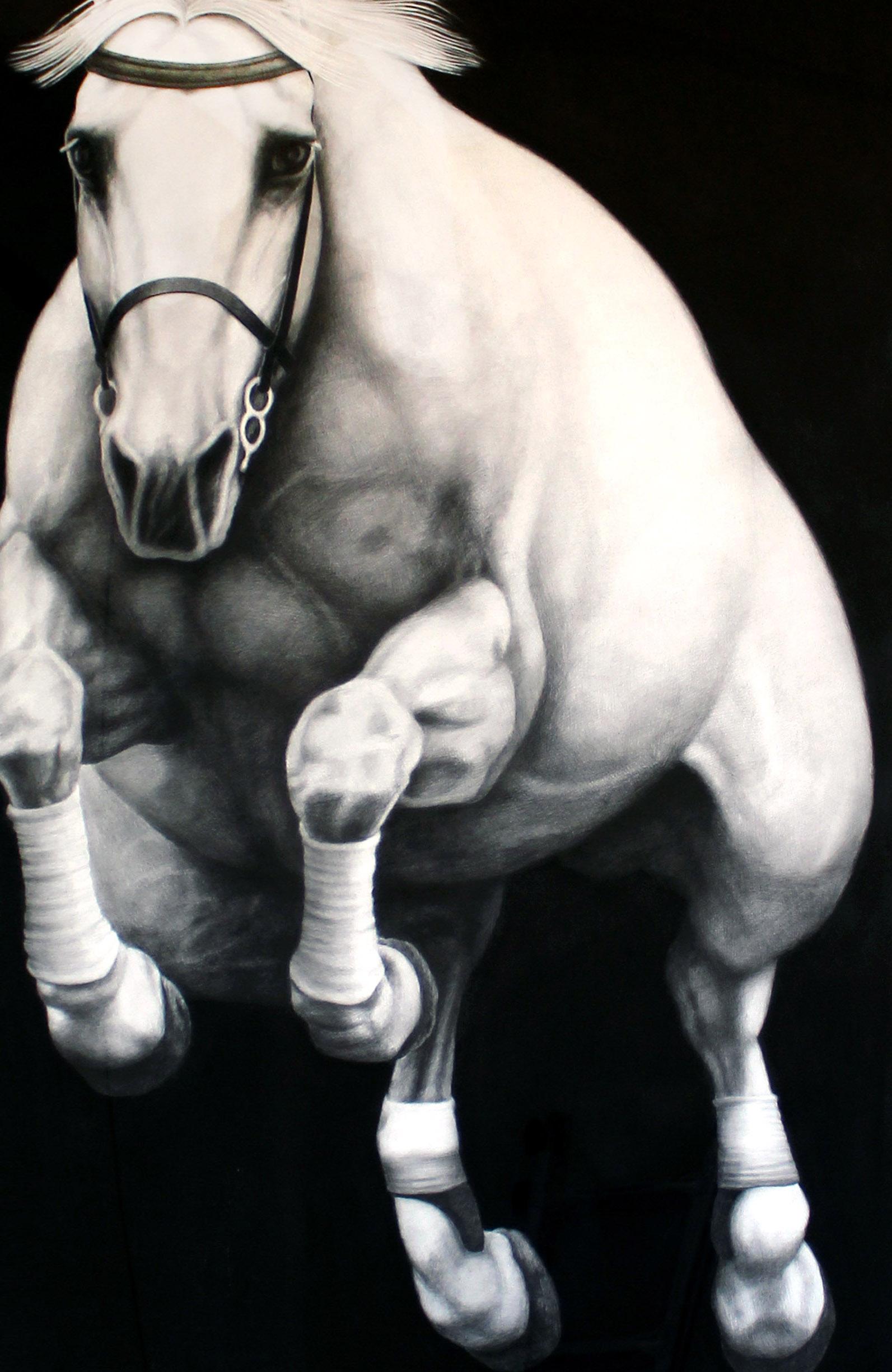 Hyperrealist Contemporary Horse Graphite Drawing Joseph Piccillo Framed B&W 2