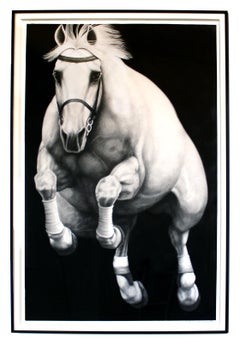 Hyperrealist Contemporary Horse Graphite Drawing Joseph Piccillo Framed B&W