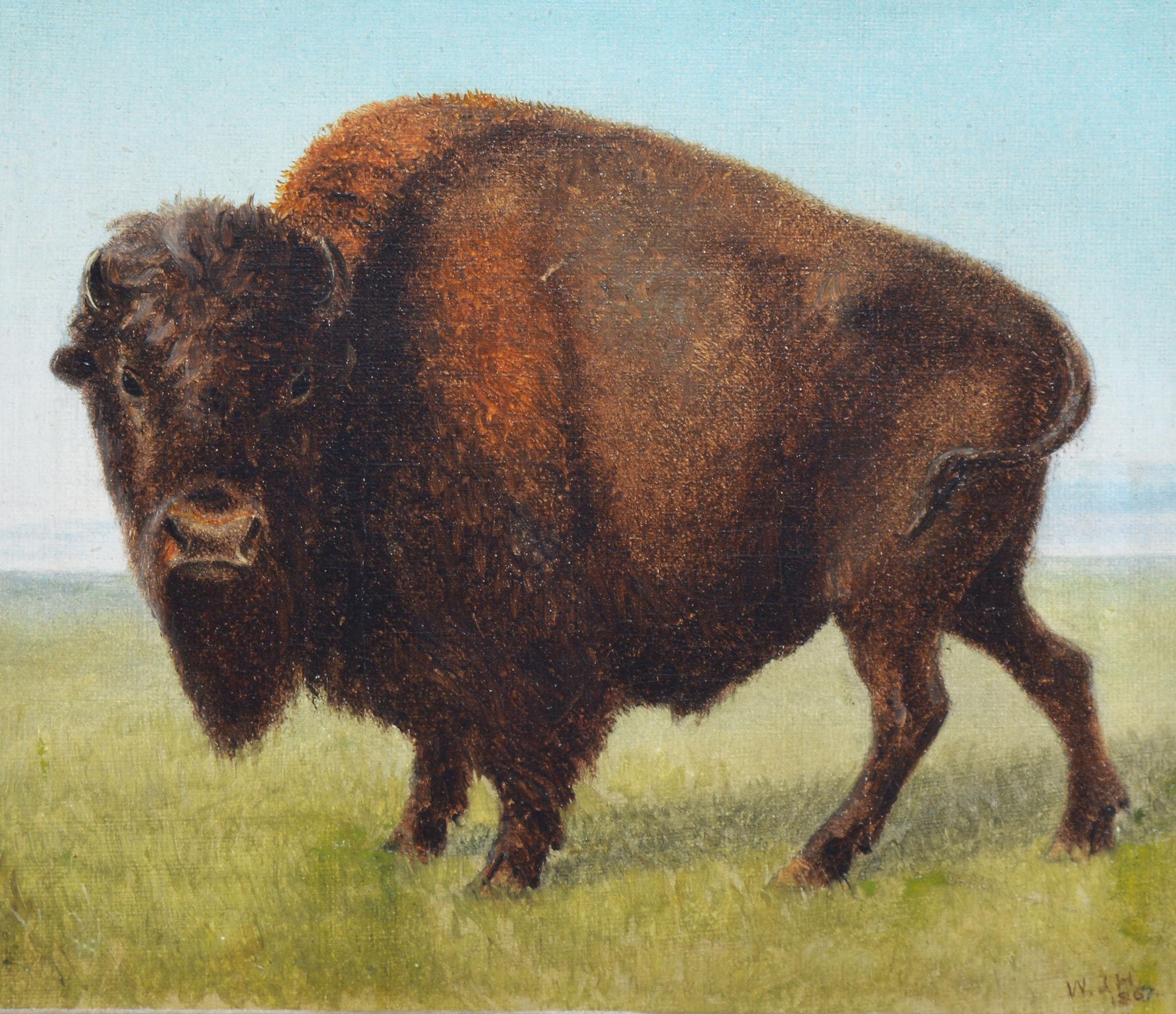 Antique western painting of a Buffalo by William Hays Sr  (1830 - 1875).  Oil on board, circa 1870.  Signed in monogram.  Displayed in a giltwood frame.  Image, 7.5
