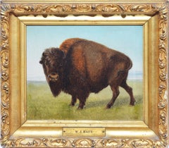 Study of An American Buffalo Western Frontier Oil Painting by William Hays Sr