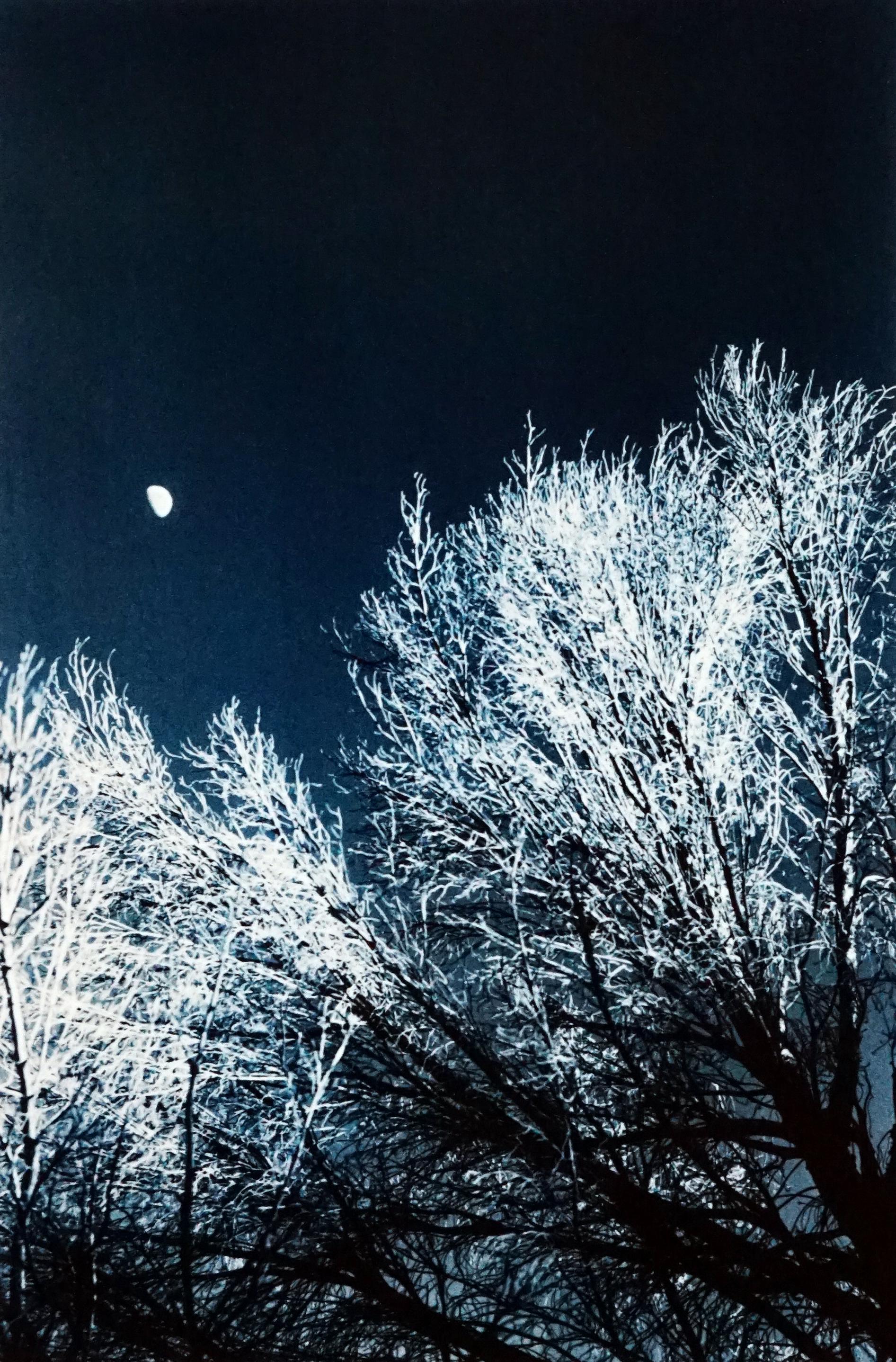 Ernesto Esquer Color Photograph - Moon and Tree