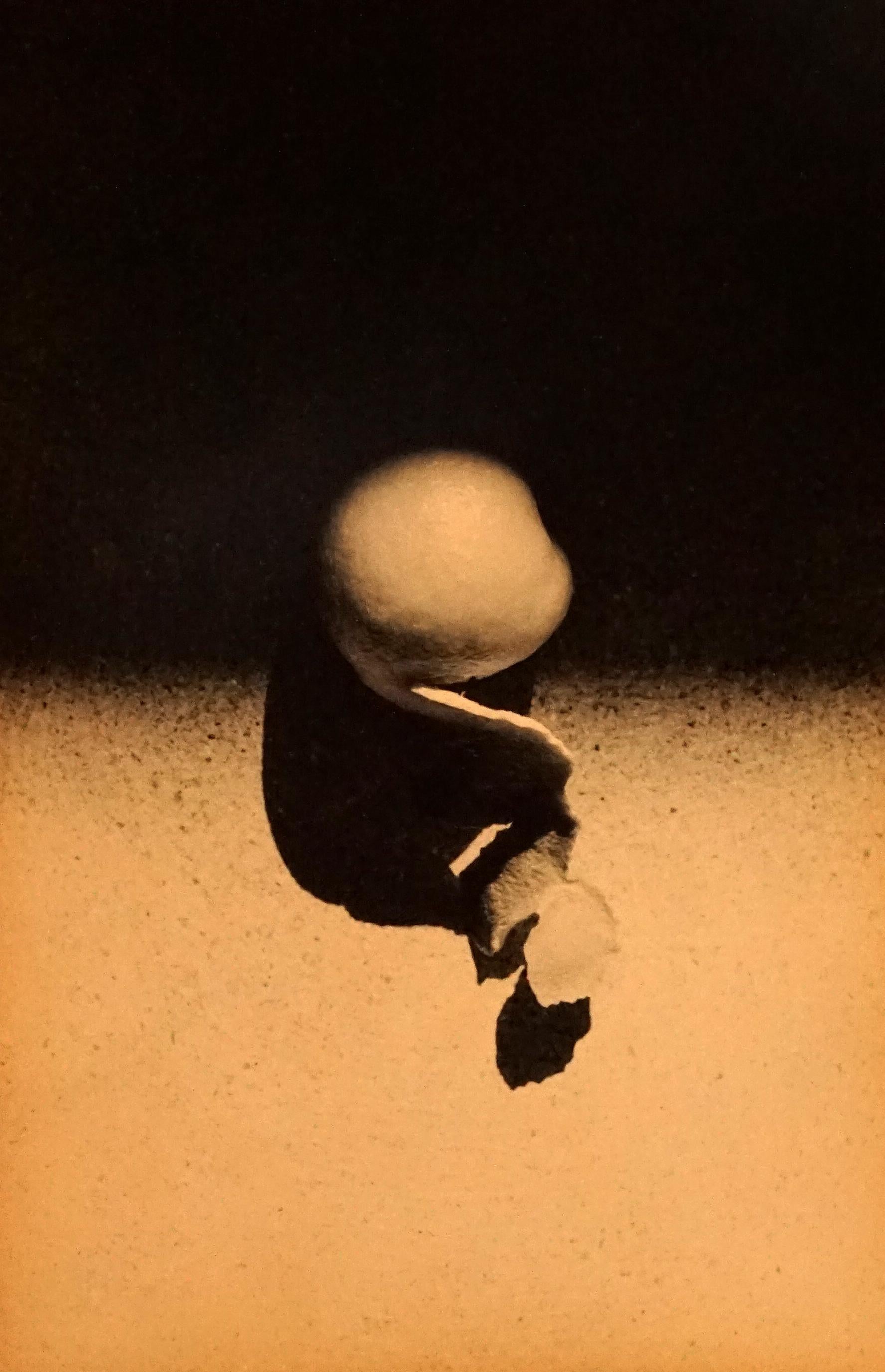 Ernesto Esquer Black and White Photograph - Peel