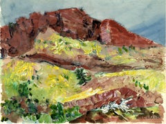 Used untitled (Hillside in Spring)