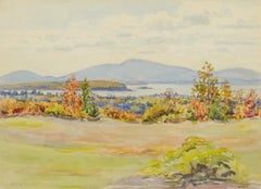 untitled (Maine Landscape across Mt. Desert Narrows)