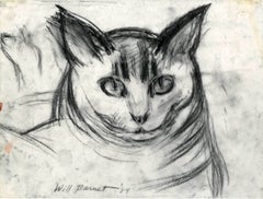 Minou-Estudio de la cabeza