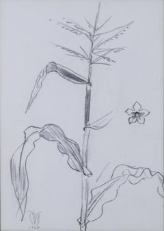 Estudio del Maíz con Nicotaina
