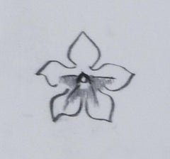 Study of Corn with Nicotaina