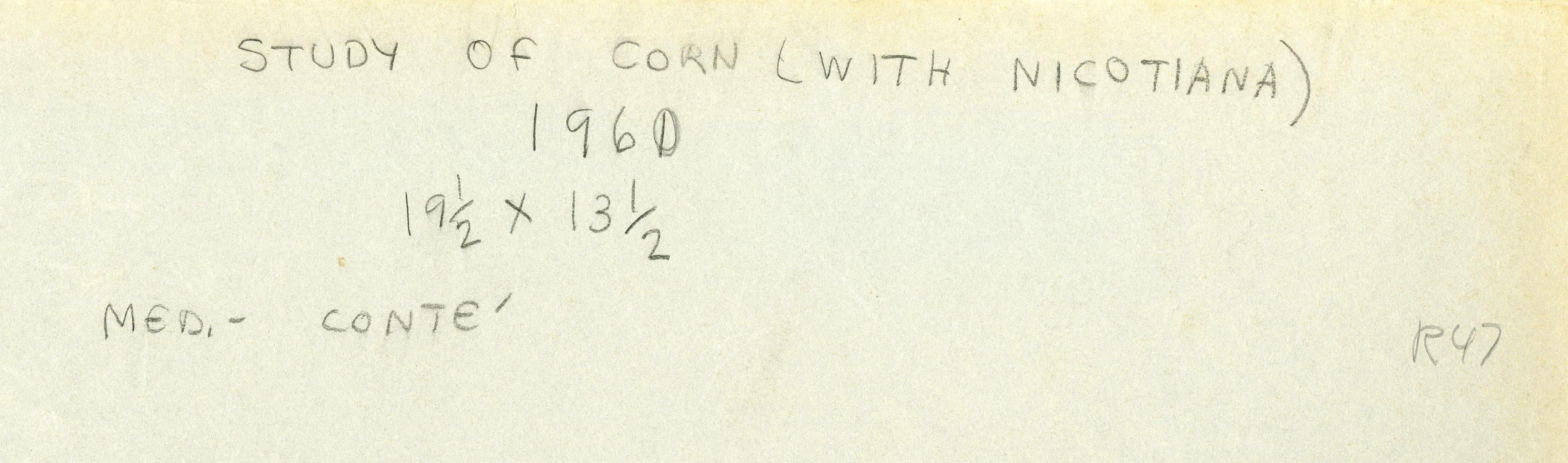 Study of Corn with Nicotaina - Gray Still-Life by Charles E. Burchfield