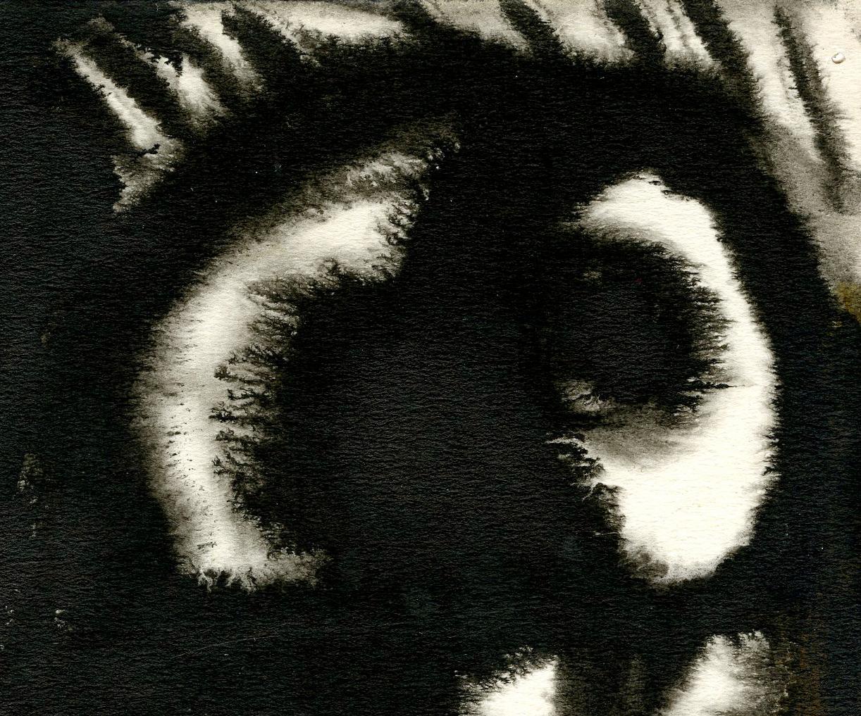 Black and White Cat - Art by Sam Spanier