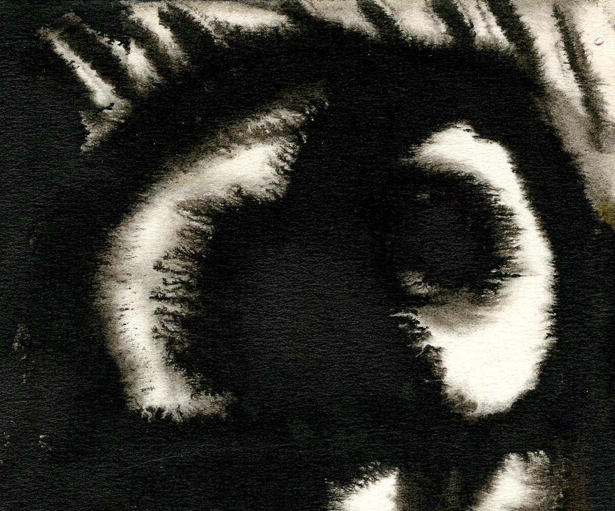 Eine schwarz-weiße Katze – Art von Sam Spanier