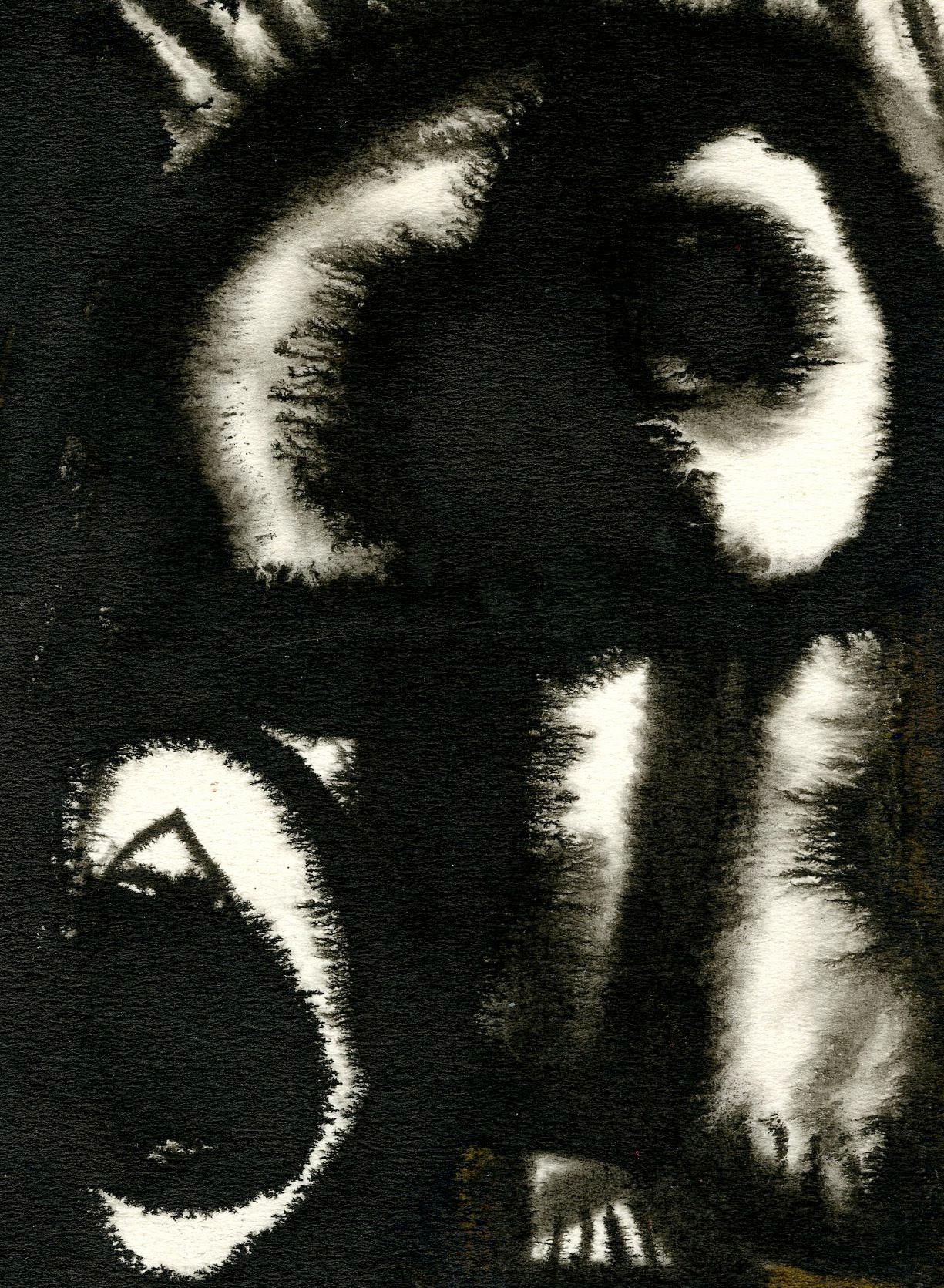 Chat noir et blanc - Abstrait Art par Sam Spanier