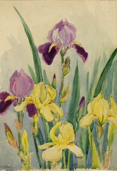 Vintage Iris