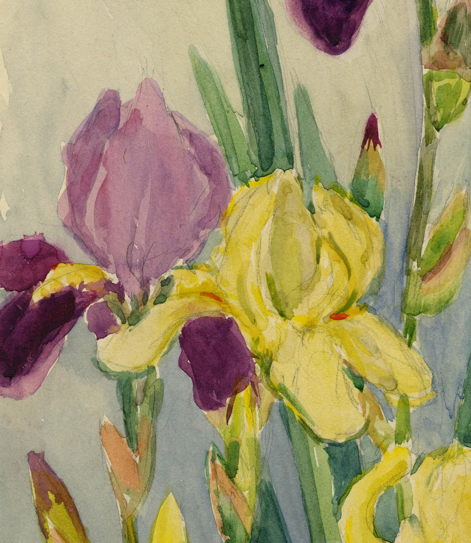Iris - American Impressionist Art by Greta Allen
