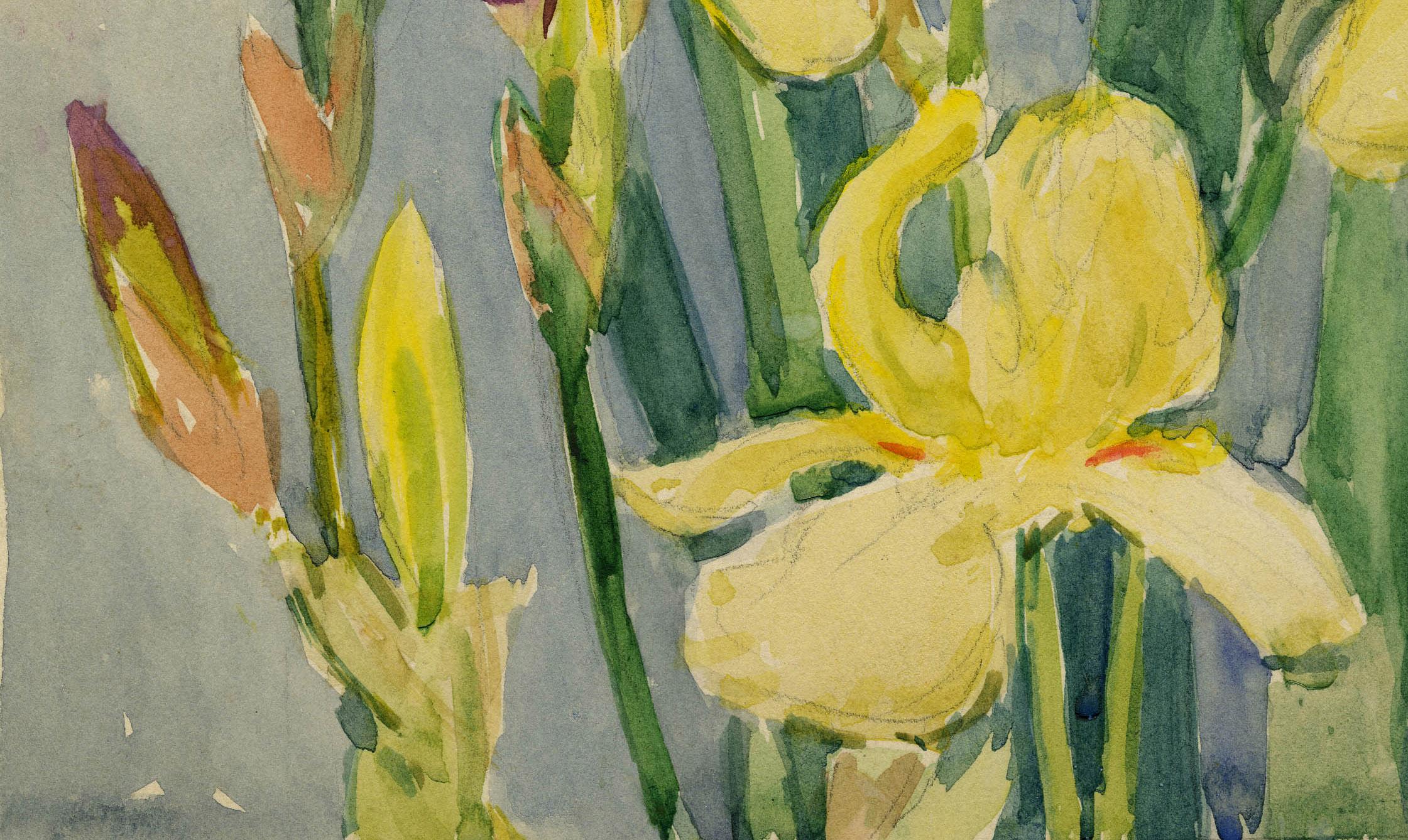 Iris
Watercolor on paper, c. 1920
Unsigned
Provenance: Estate of the Artist
Condition: Excellent, slight surface dirt
Image/Sheet size: 15 x 10 1/4 inches
Allen was trained in Boston, studying under Joseph DeCamp and Frank Benson.

Regarding the