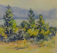 untitled (Maine Landscape near Mt. Desert Island)
