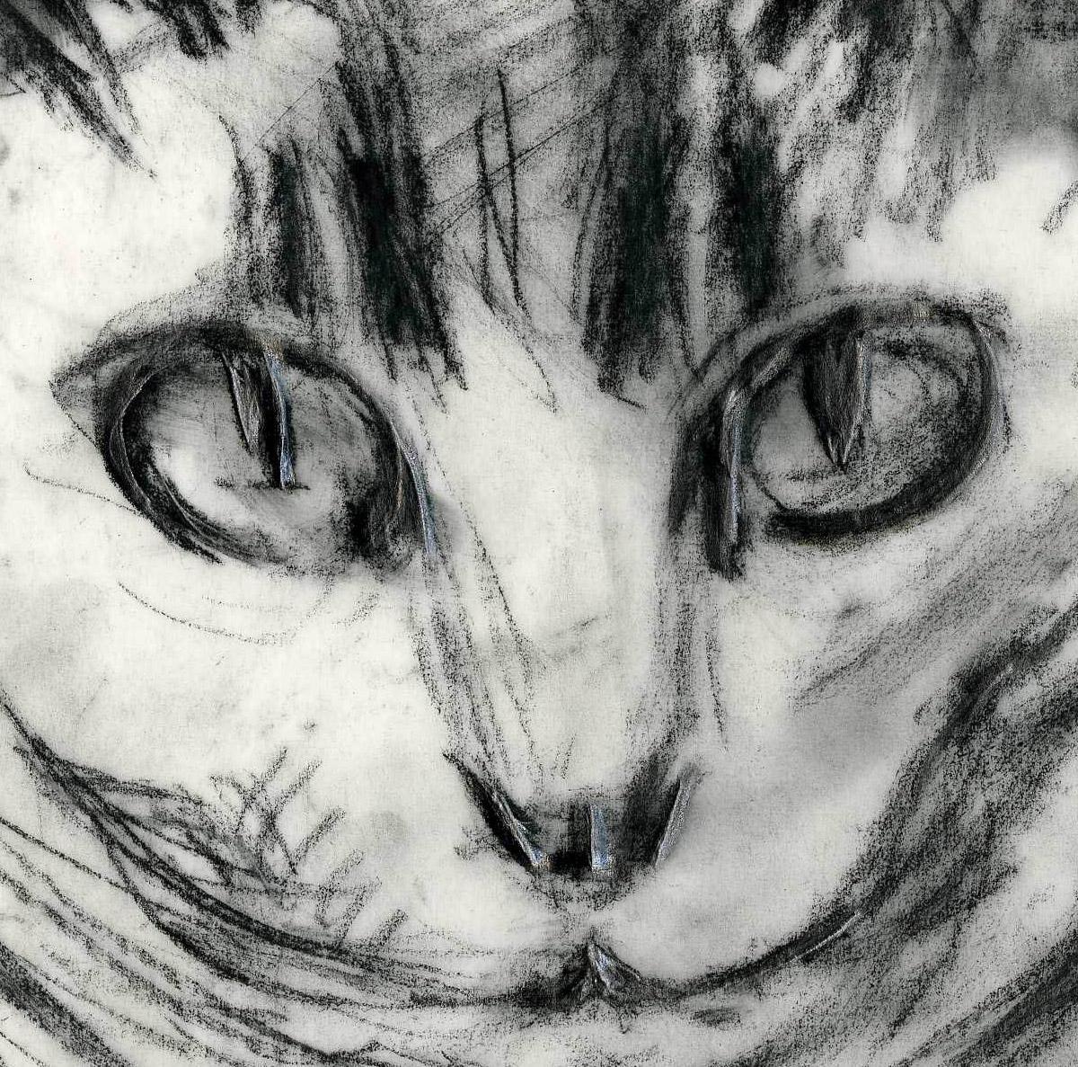 Minou-Estudio de la cabeza - Art moderno estadounidense de Will Barnet