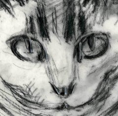 Minou-Study of Head