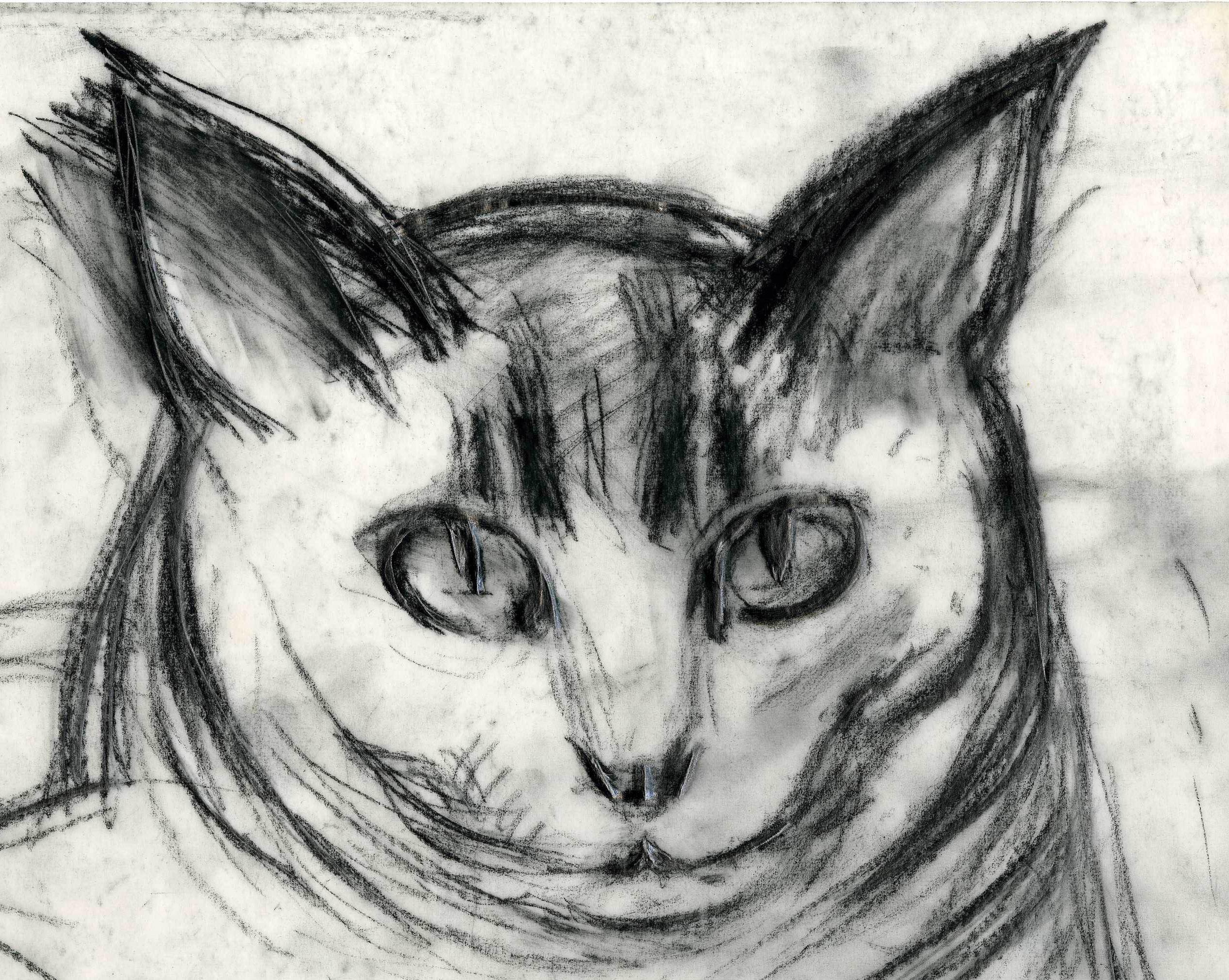 Minou-Estudio de la cabeza
Carboncillo y lápiz sobre vitela, 1984
Firmado y fechado a lápiz por el artista

Minou fue el compañero felino de Barnet durante muchos de sus años más prolíficos. Se ha dicho que si entrabas en el estudio de Barnet y no