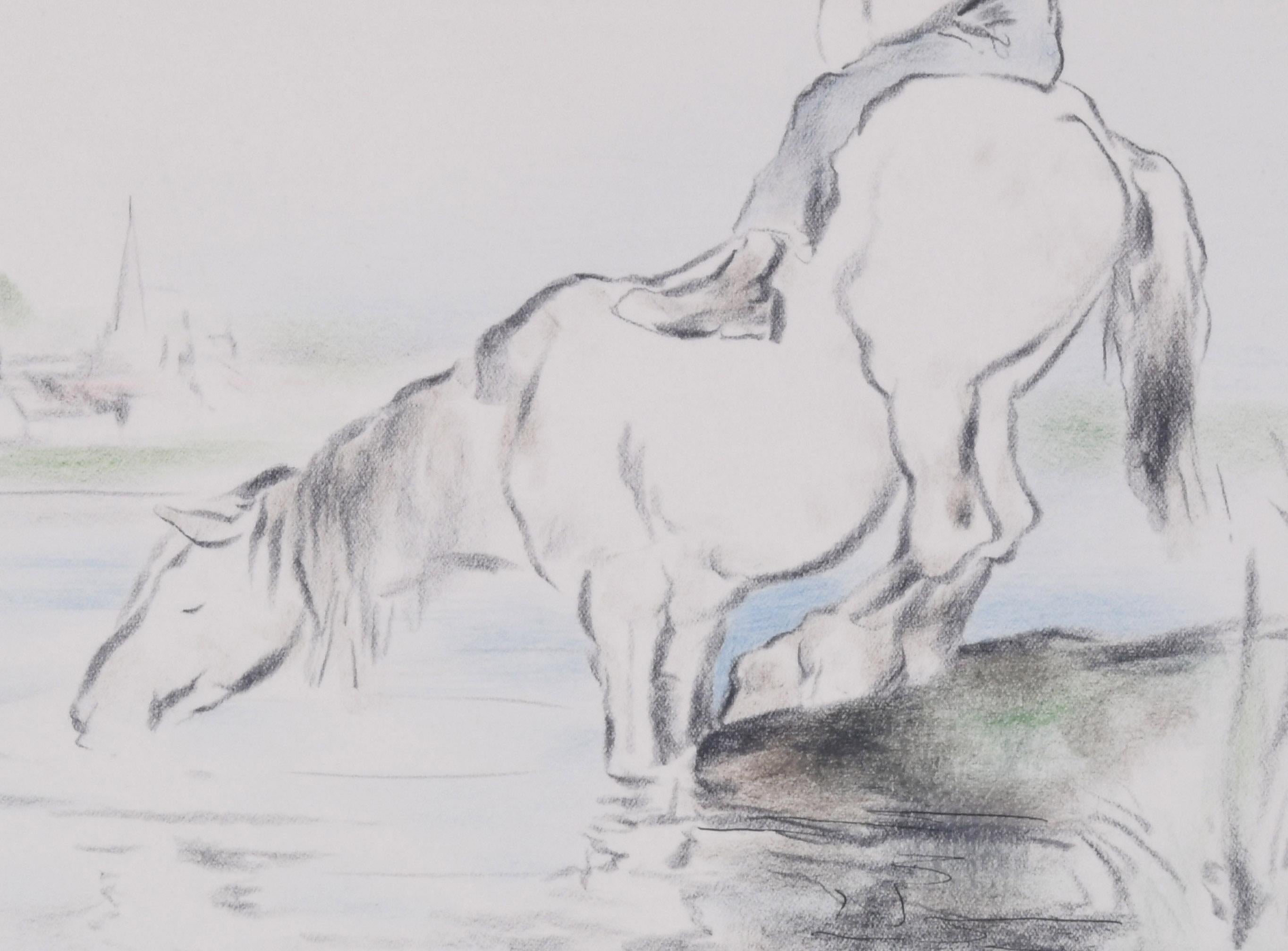 Cavallo da fattoria che beve - Art Scuola inglese di Edmund Blampied