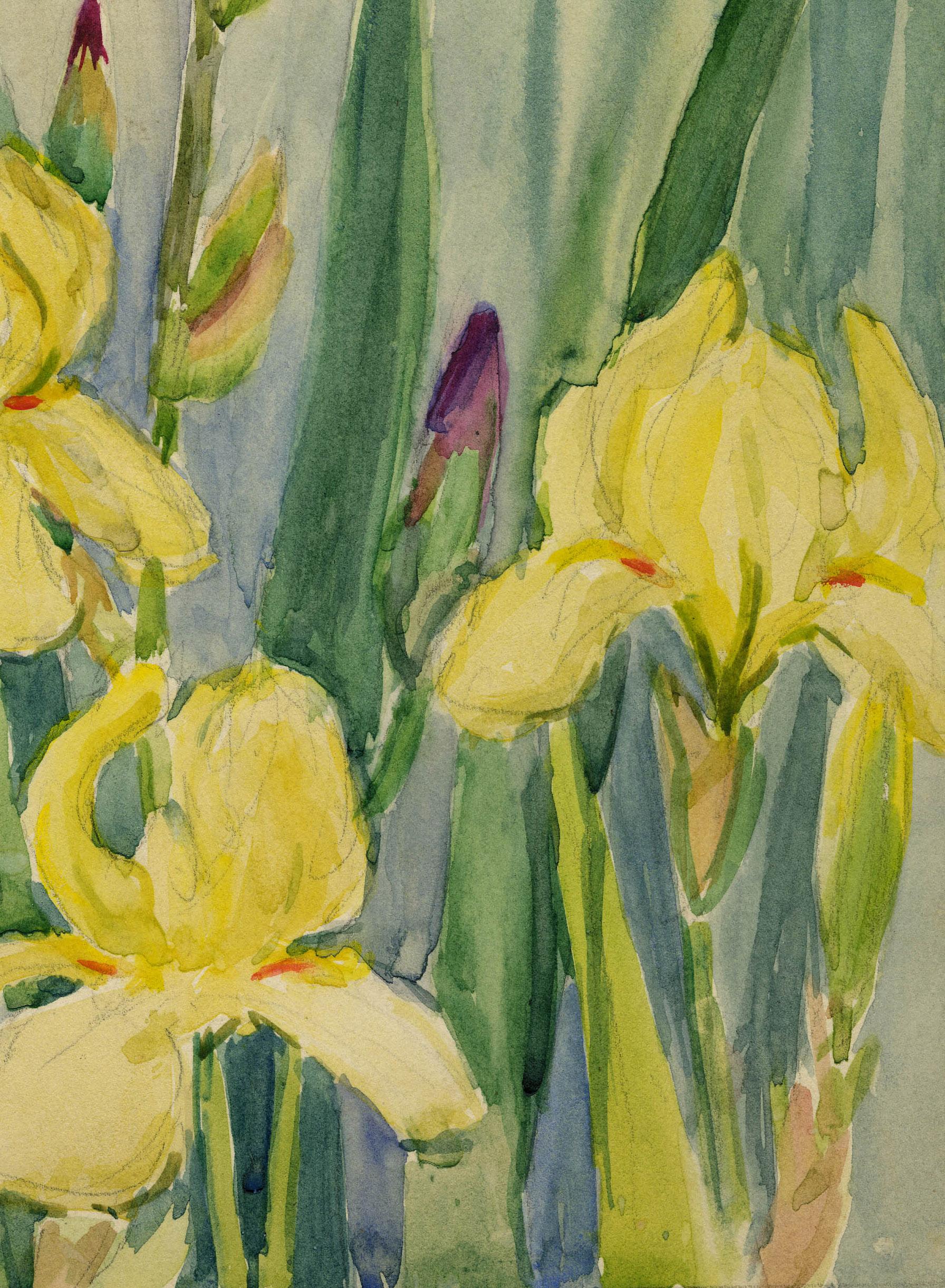 Iris
Aquarell auf Papier, um 1920
Vorzeichenlos
Provenienz: Nachlass des Künstlers
Zustand: Ausgezeichnet, leichte Oberflächenverschmutzung
Bild/Bogengröße: 15 x 10 1/4 Zoll
Allen wurde in Boston ausgebildet und studierte bei Joseph DeCamp und Frank