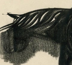 Dessin américain de l'école « Ashcan » réalisé par George Bellows, représentant un cheval, en rapport avec un tableau de Bellows