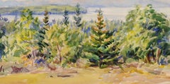 untitled (Maine landscape and view of Mt. Desert)