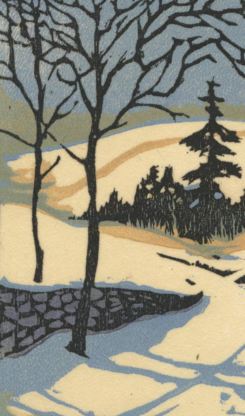 leo dorn