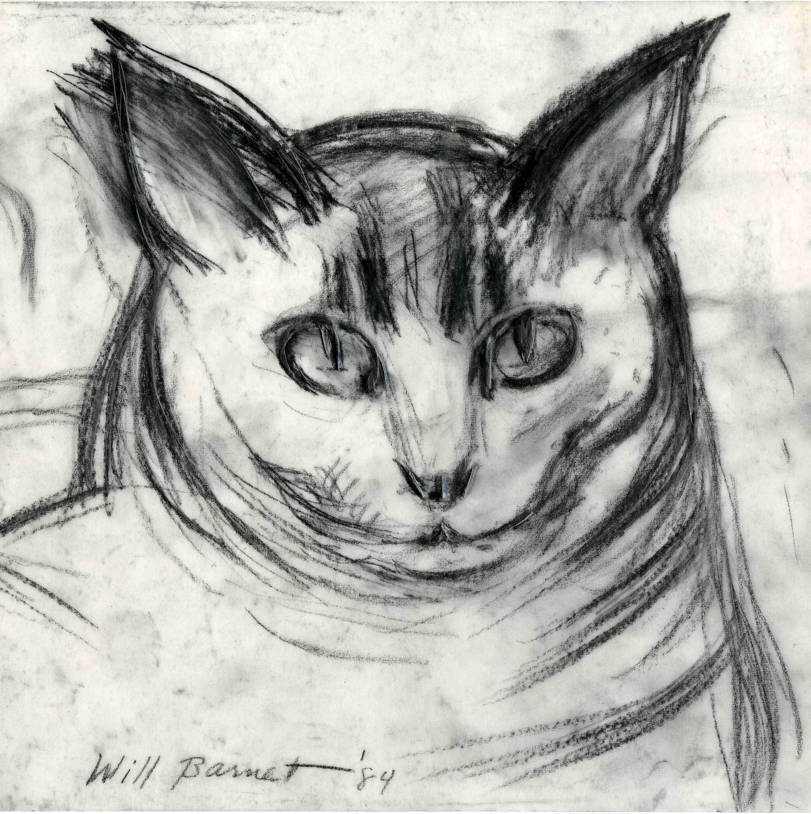 Minou-Study of Head
Charcoal and pencil on vellum, 1984
Signed and dated in pencil by the artist

Minou was Barnet's feline companion throughout many of his most prolific years. It has been said that if you entered Barnet's studio and Minou did not