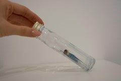 Flachmann (Hip Flask) - sculpture, wood, glass, figurative, 21st Century, small