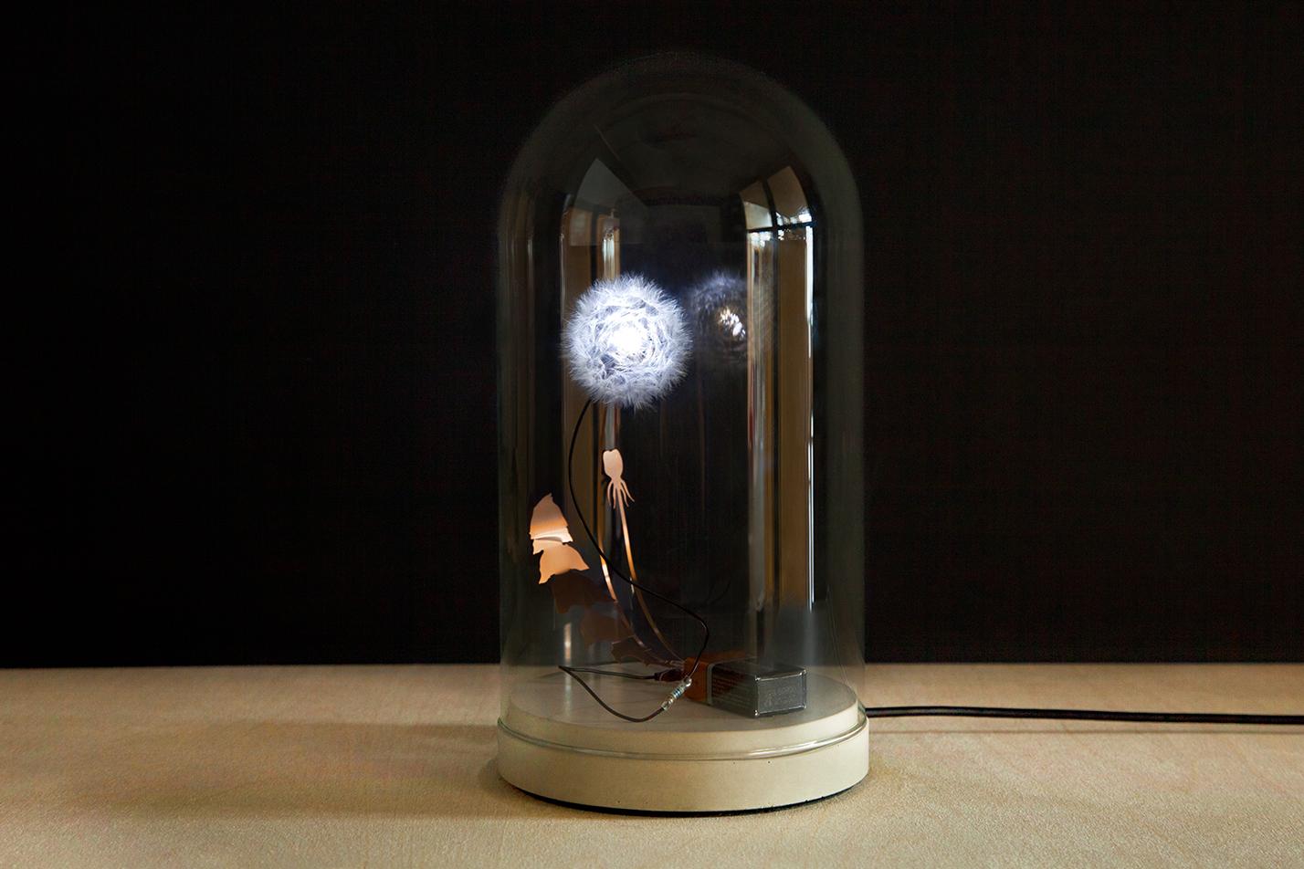 Löwenzahnlicht – Sculpture von Studio Drift