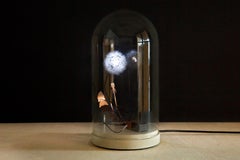Löwenzahnlicht