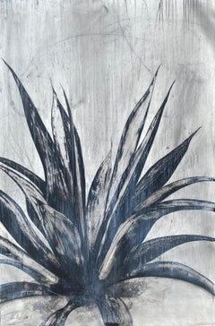 Agave by Heidi Jung. Botanical drawing in sumo ink and charcoal. 