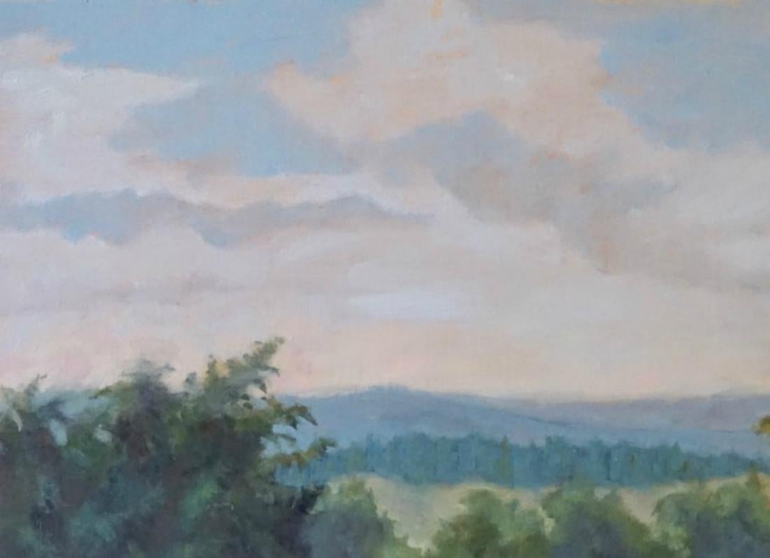 On Comanche Hills Ranch est un paysage texan situé dans un ranch privé du Texas. Le Comanche Hills Ranch est situé dans la région des collines du Texas, où les cactus et les fleurs bleues abondent.  Cette peinture à l'huile  est ce que les artistes