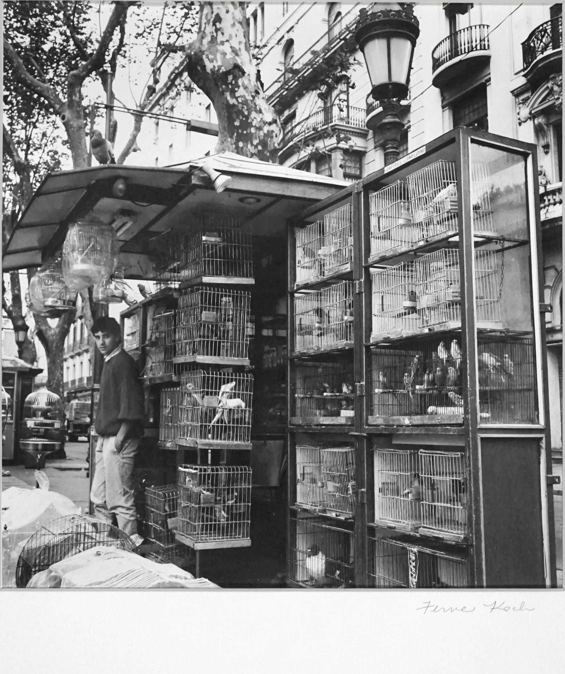 Black and White Photograph Ferne Koch - Bibliothèque de Barcelone, photographies noires et blanches, À propos de la vie, Houston Foto Fest