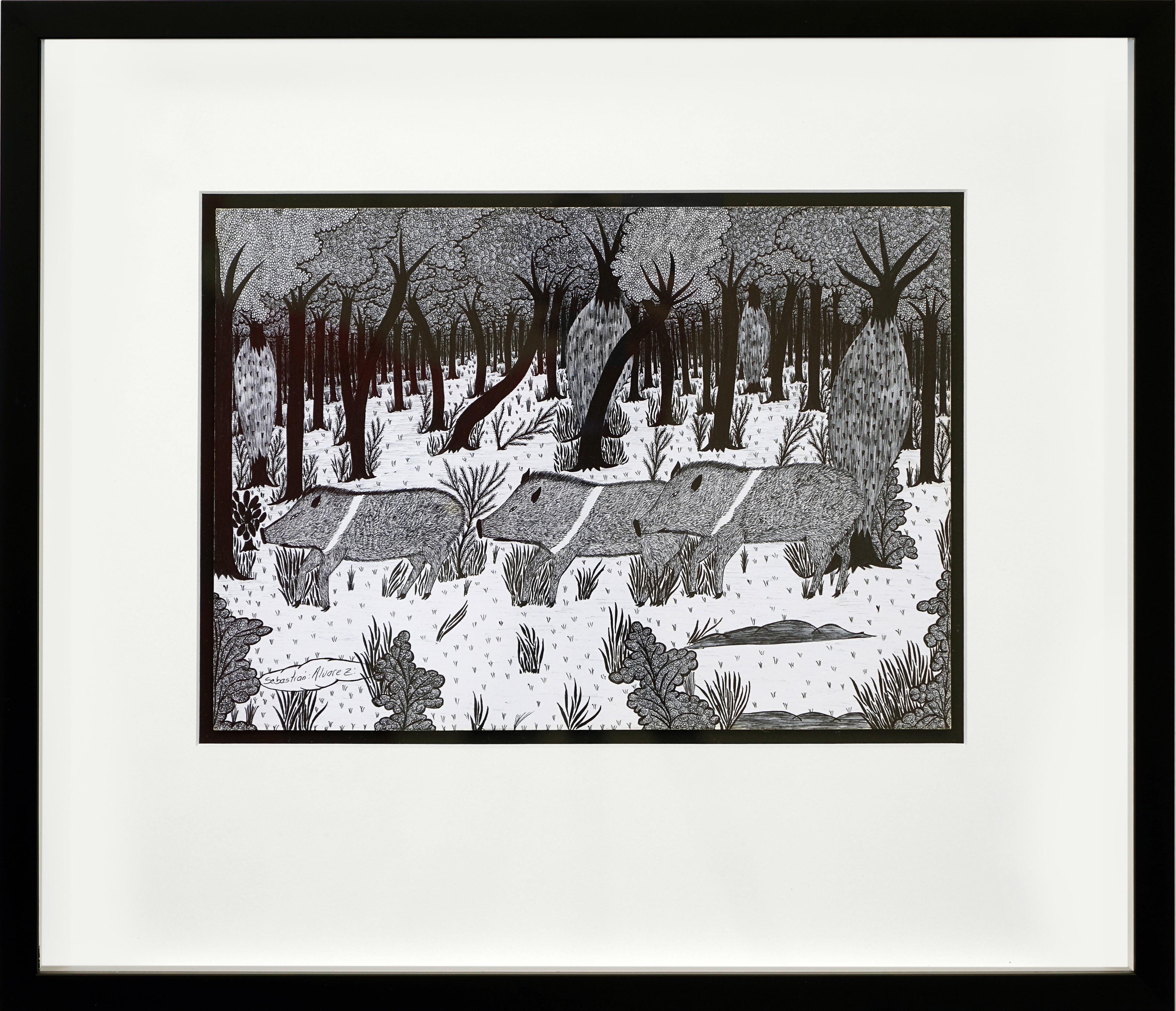 Paraguayan Ink Drawings from the Chaco #14 Paper Indigenous Sebastian Alvarez