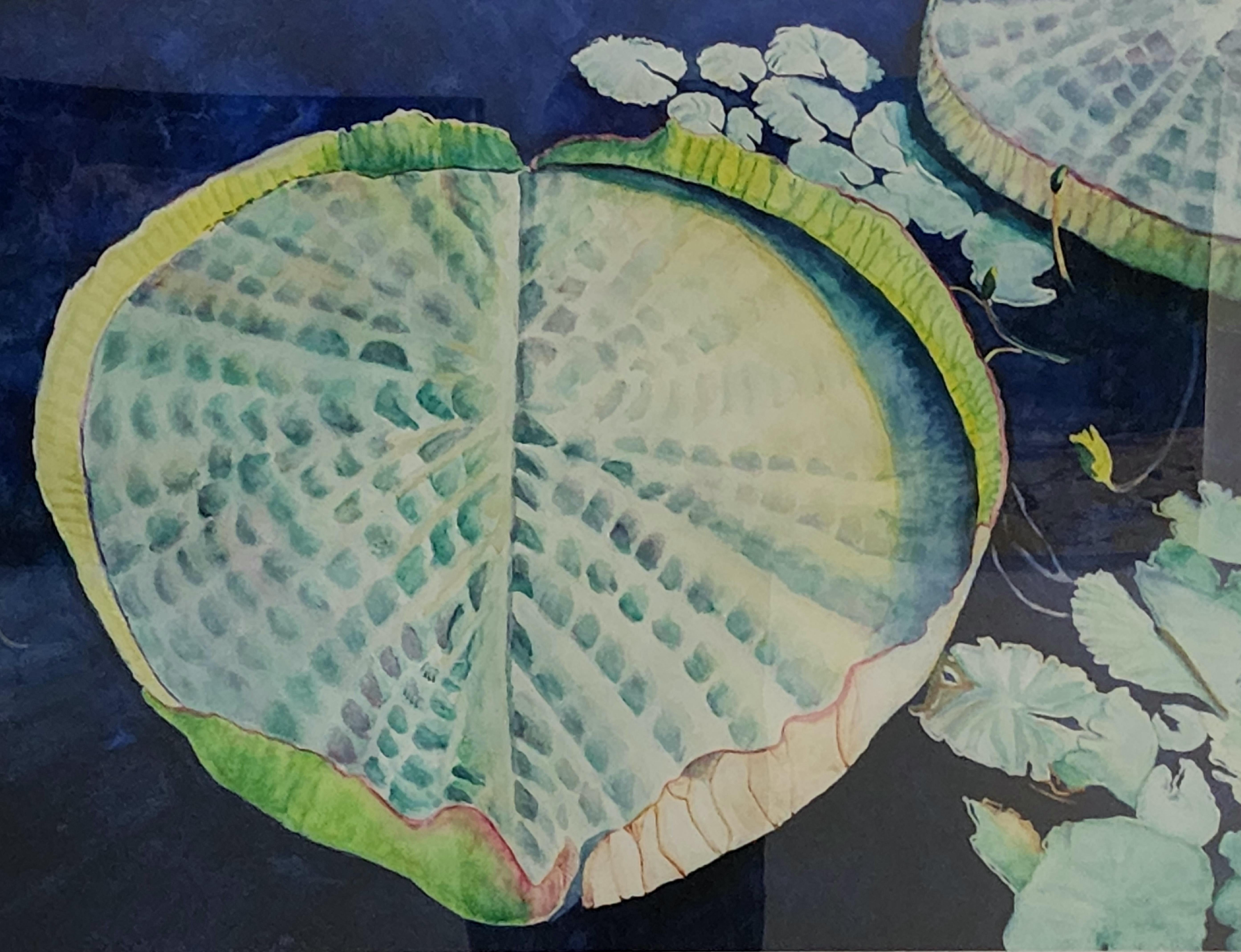 Very Tropical , Watercolor, Framed, Still-life, Cuban Artist, Havana,  Fruit - Gray Still-Life by Lawrence Cohn