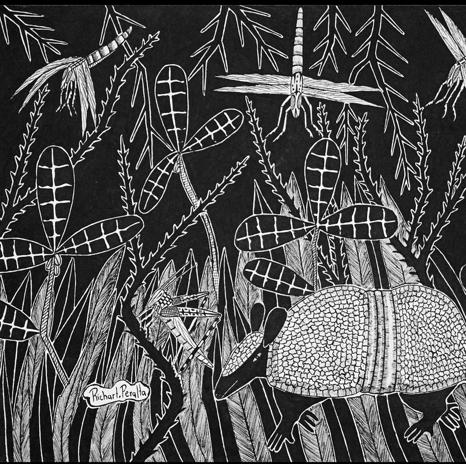 Paraguayanische Tuschezeichnungen aus dem Chaco #2, Papier, indigene Künstler, selten (Schwarz), Animal Art, von Richart Peralta