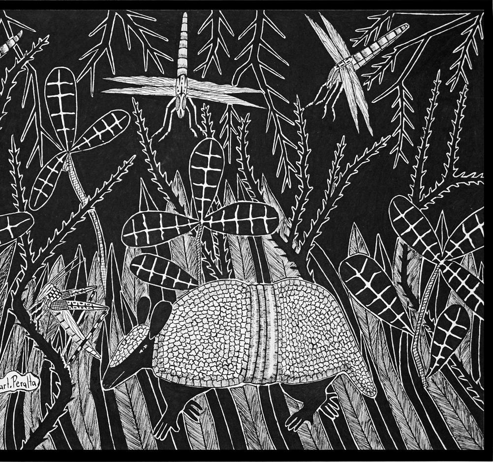 Paraguayanische Tuschezeichnungen aus dem Chaco #2, Papier, indigene Künstler, selten (Volkskunst), Art, von Richart Peralta